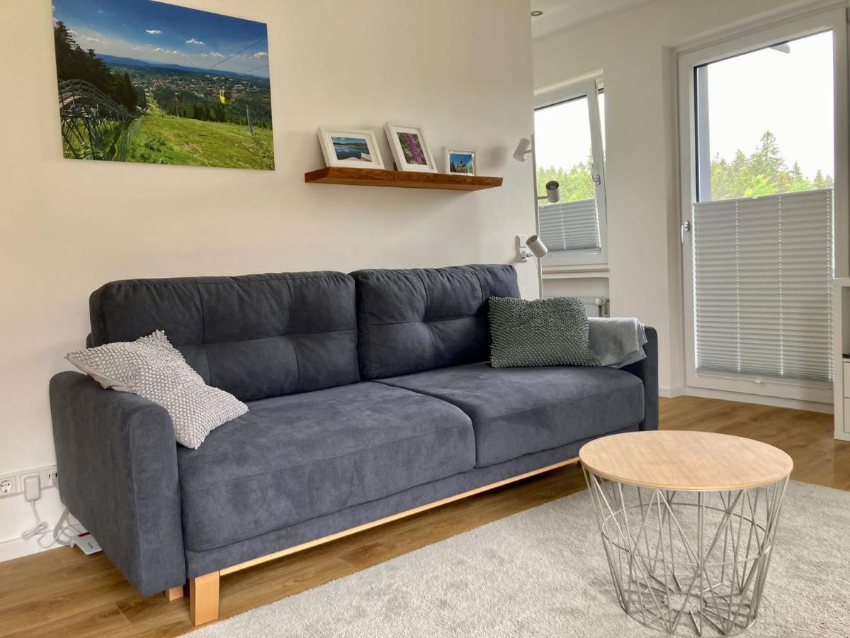 Hahnenklee Charme - Moderne Neue Ferienwohnung Mit 2 Balkons Goslar Eksteriør bilde